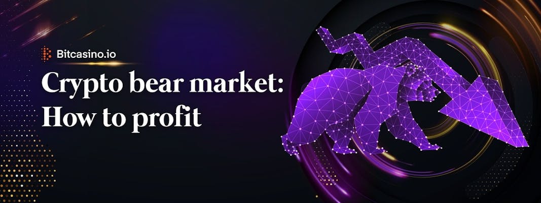 How to make money from a bear market in crypto